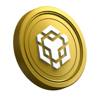 Página do guia para o trader iniciante com a criptomoeda BNB
